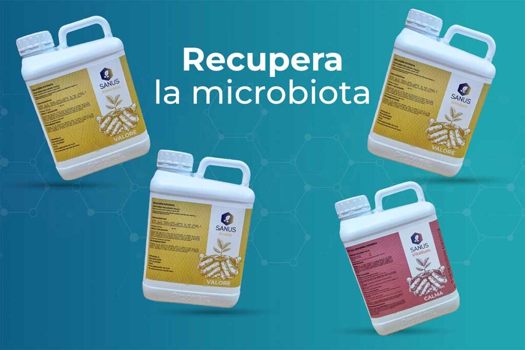 recuperar microbiota suelo