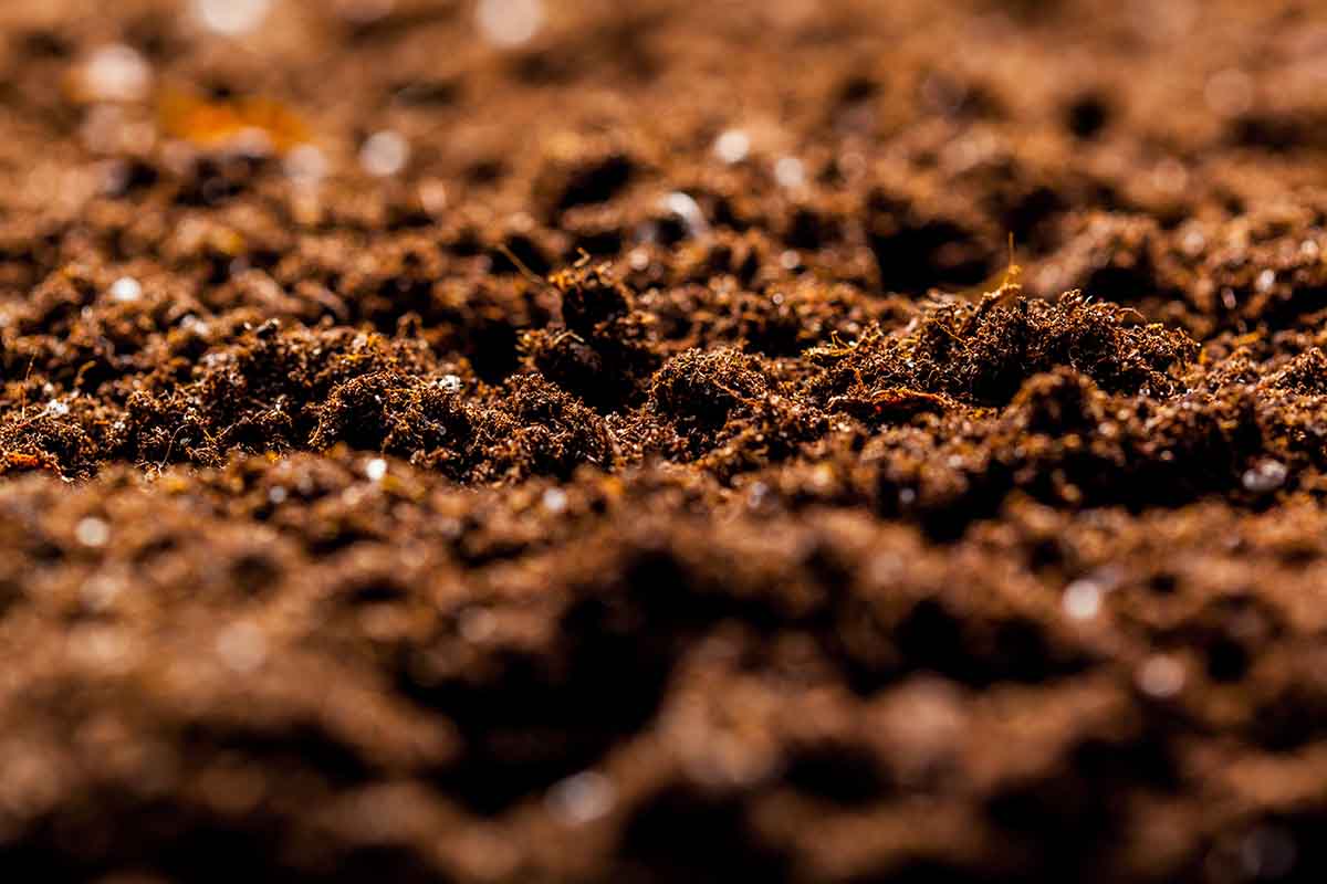 recuperar microbiota suelo